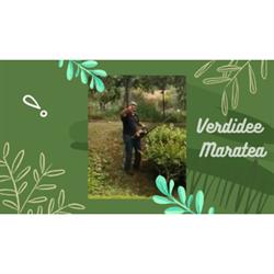 Verdidee, Maratea orari di apertura
