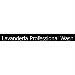 Professional Wash, Campi Salentina orari di apertura