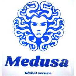 Medusa Global Service Srls - Vigilanza, Napoli orari di apertura