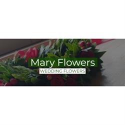 Mary Flowers, Bucciano orari di apertura