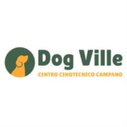 Dogville, Casaluce orari di apertura