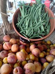 I sapori del Bosco, Castiglione Chiavarese orari di apertura