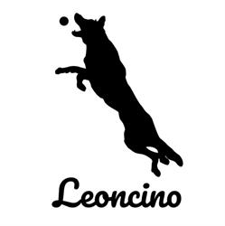 Campo Cinofilo Leoncino, Lonato del Garda orari di apertura