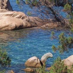 Azzurra Mare, San Teodoro orari di apertura