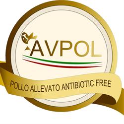 AVPOL - Allevamento polli, San Silvestro orari di apertura
