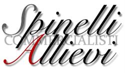 Studio Commercialista Spinelli Allievi, Erba orari di apertura