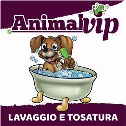 Animal Vip, Mazara del Vallo orari di apertura