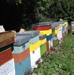 Apicoltura S'Abioi, Narcao orari di apertura