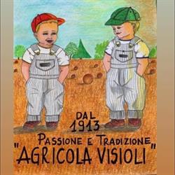 Agricola Visioli di Visioli Flavio Casalmaggiore, Vicomoscano - Orari di apertura