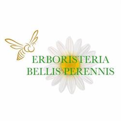 Erboristeria Bellis Perennis, Foggia orari di apertura