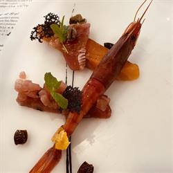 Malnat Snack & Sea Food Bar, Novara orari di apertura