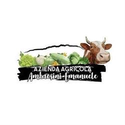 Ambrosini Emanuele, spaccio Azienda Agricola, Dervio orari di apertura
