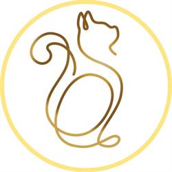 Musetti Blu Cattery British e Scottish, Castelvetrano orari di apertura