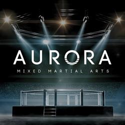 AURORA MMA ROMA, Roma orari di apertura