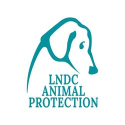 LNDC Animal Protection, Milano orari di apertura