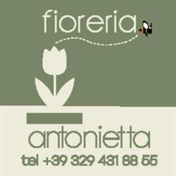 Fioreria Antonietta, Torino orari di apertura
