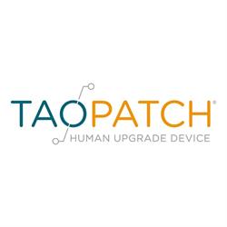 Taopatch - Tao Technologies srls, Vedelago orari di apertura