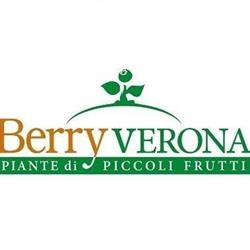 Berry Verona, orari di apertura