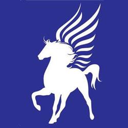 Pegaso Srl, Roma orari di apertura