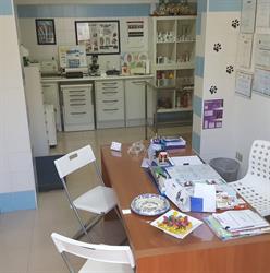 Ambulatorio Veterinario "Santa Rita" Dr. Paolo Morale, via Mazzini, 21, Avola orari di apertura