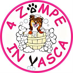 4 ZAMPE IN VASCA, Verbania orari di apertura