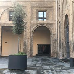 Biblioteca delle Arti e dello Spettacolo, Parma orari di apertura