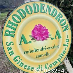 VivaioRhododendron, Capannori orari di apertura