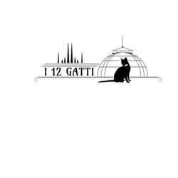 I 12 Gatti Pizzeria, Milano orari di apertura
