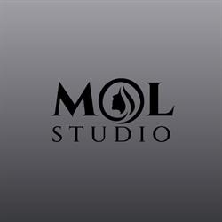 STUDIO MOL, Suzzara orari di apertura