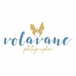 Volavane di Vanessa Olandese, Torino orari di apertura
