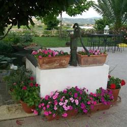 B&B La Casa Bianca, Fossacesia orari di apertura