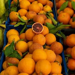 MOSCATO FRUTTA E VERDURA VIALE CANNATELLO, Agrigento orari di apertura