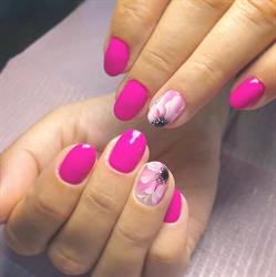 Advice - NailStudio, Cassano Magnago orari di apertura