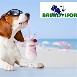 bauadvisor, Roma orari di apertura