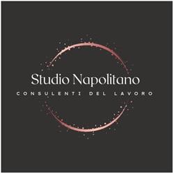 Studio Napolitano (Consulenti del Lavoro), Torre del Greco orari di apertura