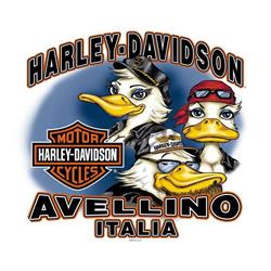 Harley-Davidson Avellino, Baiano orari di apertura