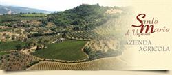Sante Marie di Vignoni Azienda Agricola, San Quirico d'Orcia orari di apertura