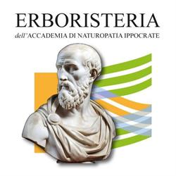 Accademia di Naturopatia Ippocrate ed Erboristeria, Sarzana orari di apertura