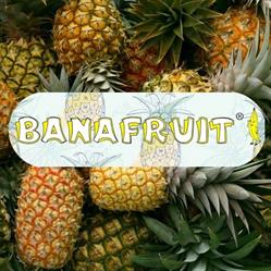 Banafruit Import Export Srl, Recco orari di apertura