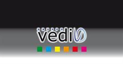 Gruppo Vedi Srl, Ghisalba orari di apertura