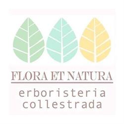 Flora et Natura Erboristeria, Perugia orari di apertura