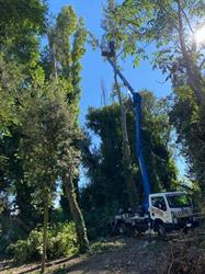 Giardiniere Nicola, Ravenna orari di apertura