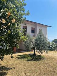 Nonno Ghigo House, Ciggiano orari di apertura