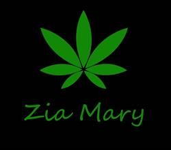 Zia Mary Torino, orari di apertura