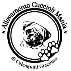 Allevamento "Cuccioli Mania" di Giacomo Calcagnoli, Sant'Egidio alla Vibrata orari di apertura