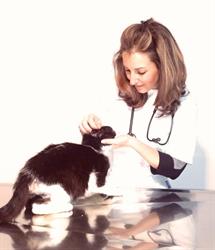 La Clinica degli Animali - Veterinario Nuoro, orari di apertura