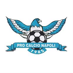 Pro Calcio Napoli, orari di apertura