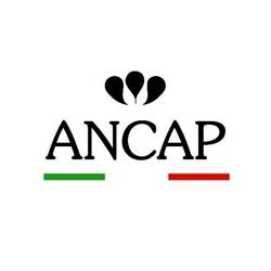Ancap Srl, Sommacampagna orari di apertura