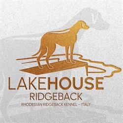Allevamento Rhodesian Ridgeback LAKEHOUSE RIDGEBACK di Valentina Sozio, Marino orari di apertura