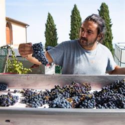 Tenuta Ceri, Carmignano orari di apertura